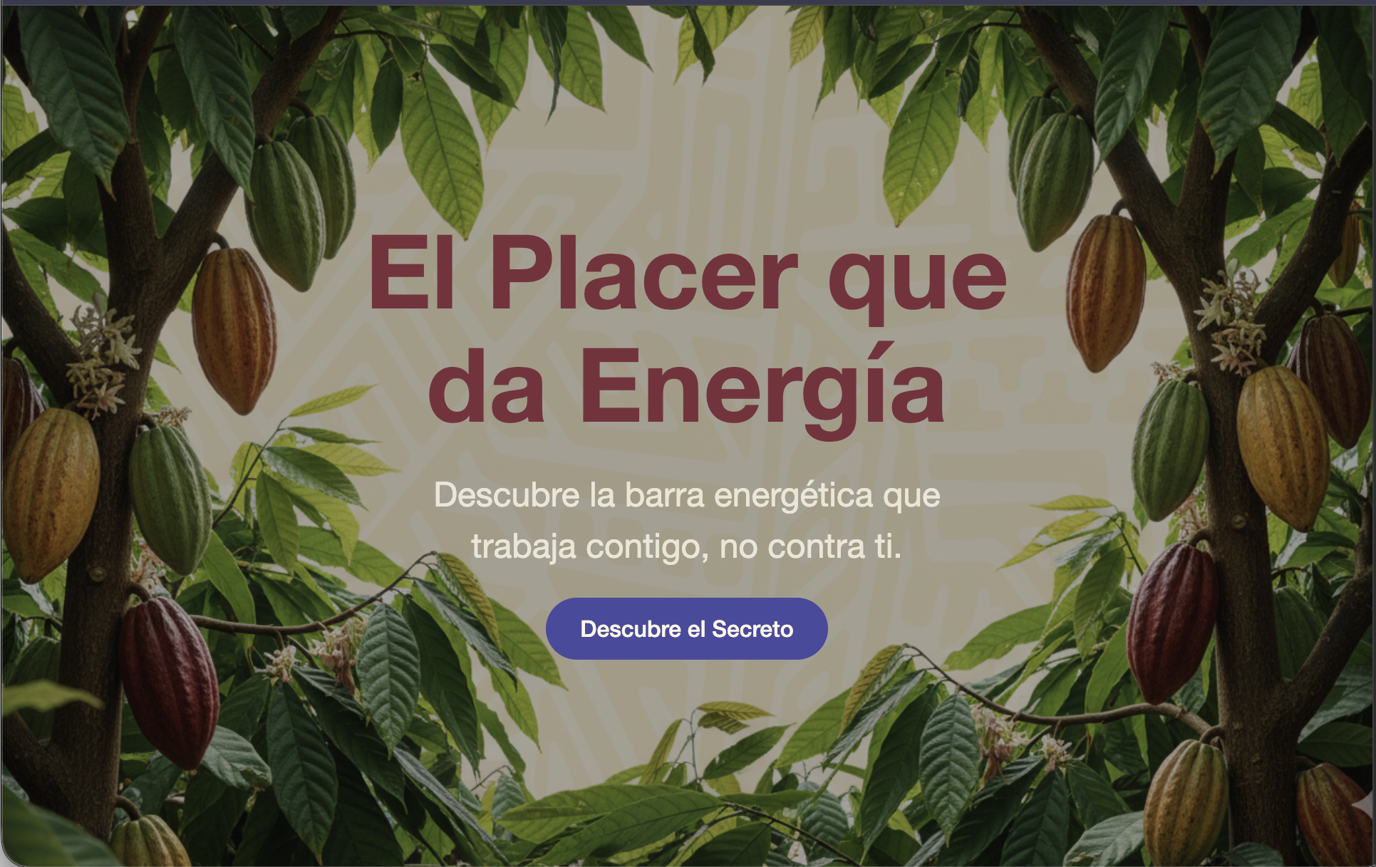 Vista previa de la landing page Dental Guayaquil